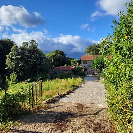 Chez Paulette - Meuble De Tourisme Classe 3 Etoiles زونزا المظهر الخارجي الصورة