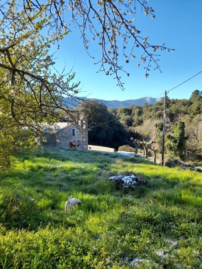 Chez Paulette - Meuble De Tourisme Classe 3 Etoiles زونزا المظهر الخارجي الصورة