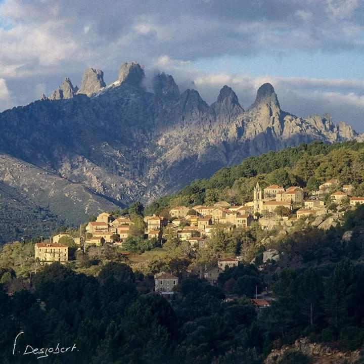 Chez Paulette - Meuble De Tourisme Classe 3 Etoiles زونزا المظهر الخارجي الصورة